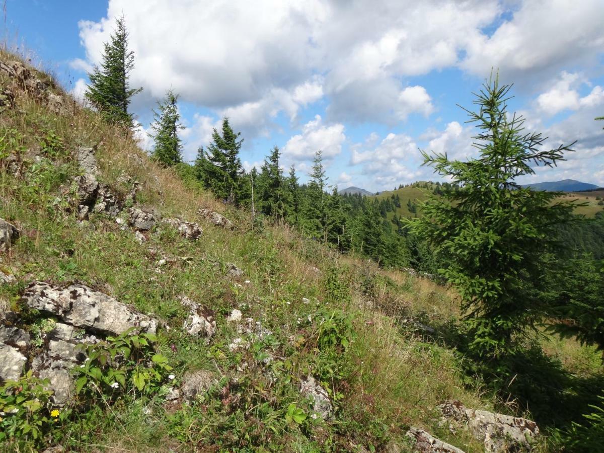 Kamzik Donovaly Appartement Buitenkant foto